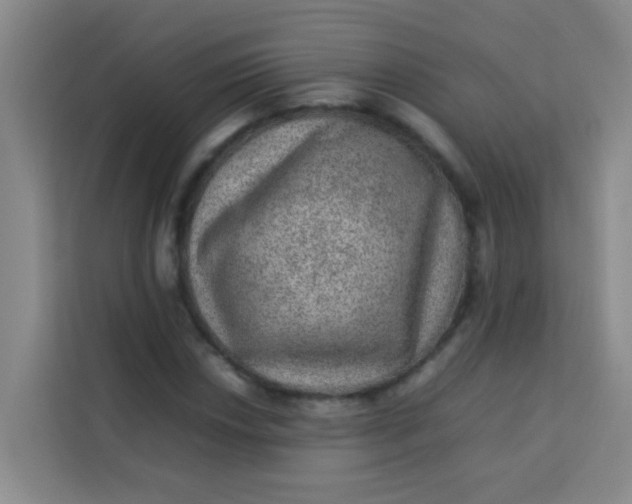 X0000113641018200910091532