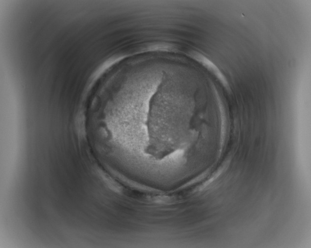 X0000113641019200910091532