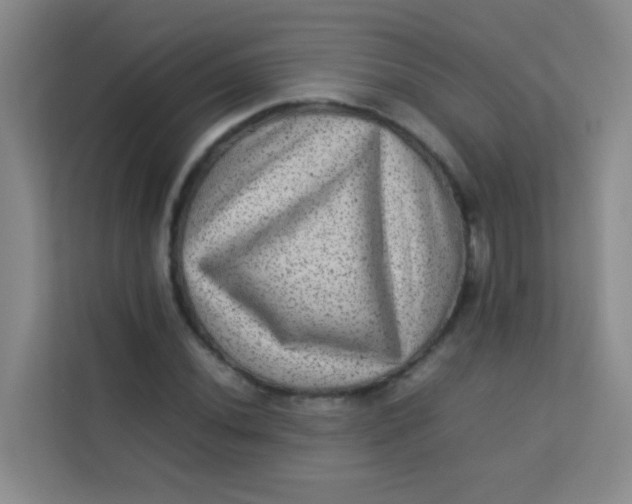 X0000113641020200910091532