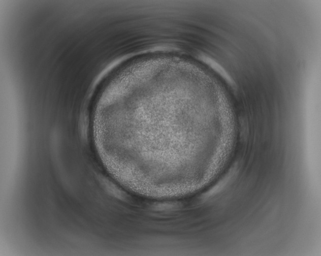 X0000113641021200910091532