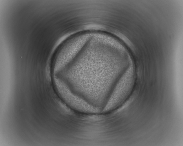 X0000113641022200910091532