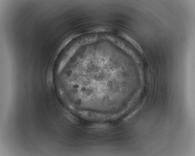 X0000113641023200910091532