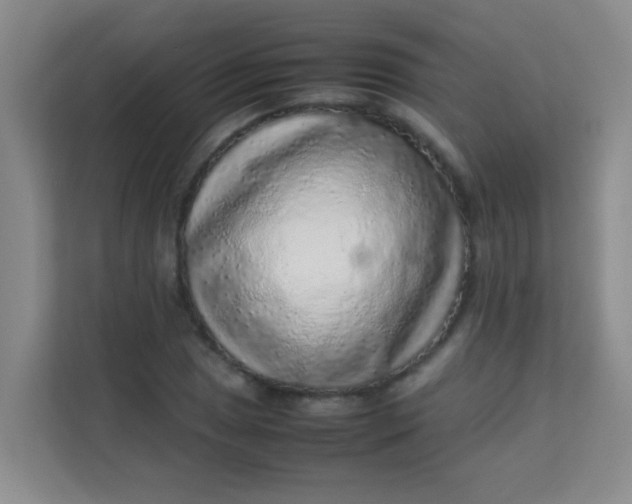 X0000113641025200910091532