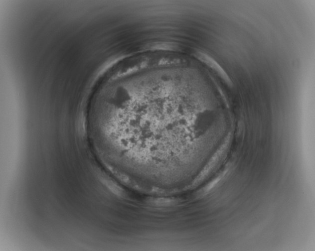 X0000113641027200910091532