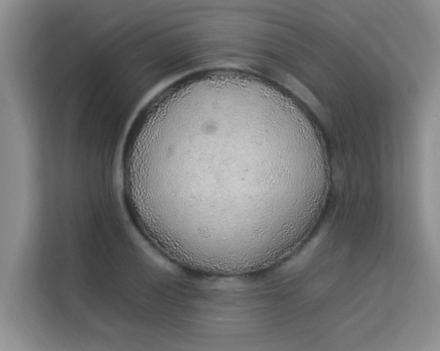 X0000113641028200910091532