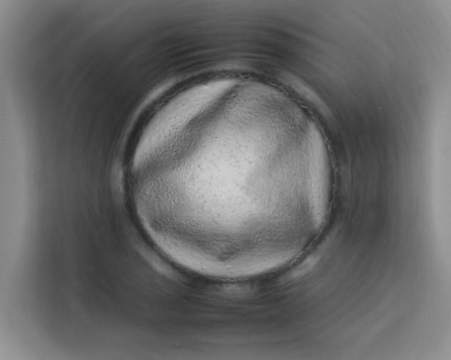 X0000113641029200910091532