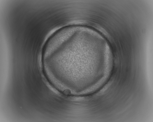 X0000113641030200910091532