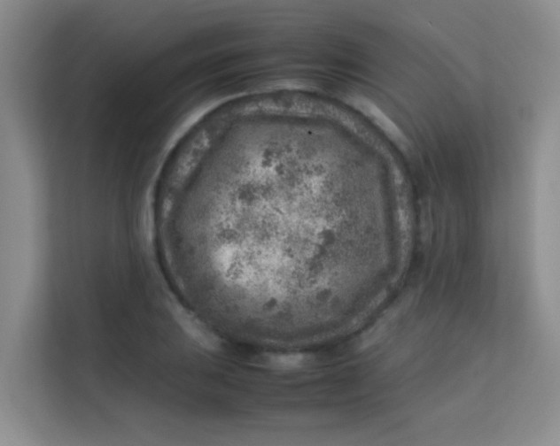 X0000113641031200910091532