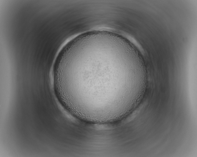 X0000113641032200910091532