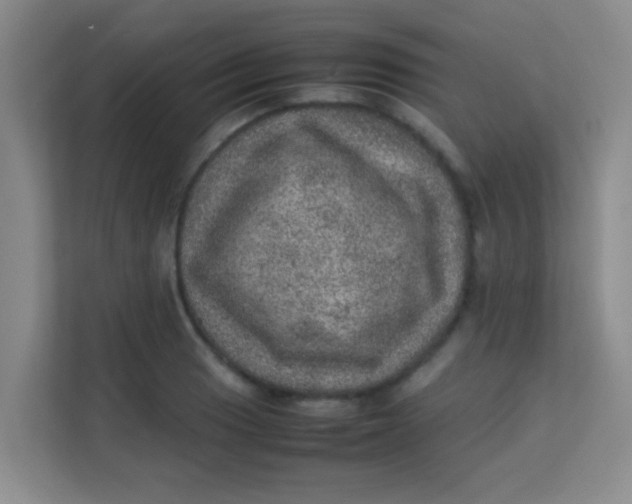 X0000113641033200910091532