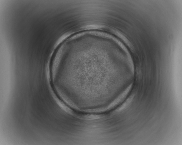 X0000113641034200910091532