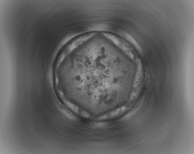 X0000113641035200910091532