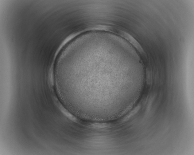 X0000113641036200910091533