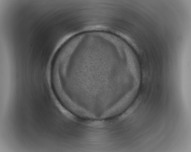 X0000113641038200910091533