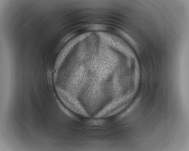 X0000113641041200910091533