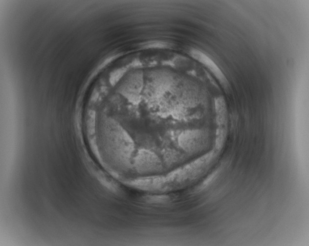 X0000113641043200910091533