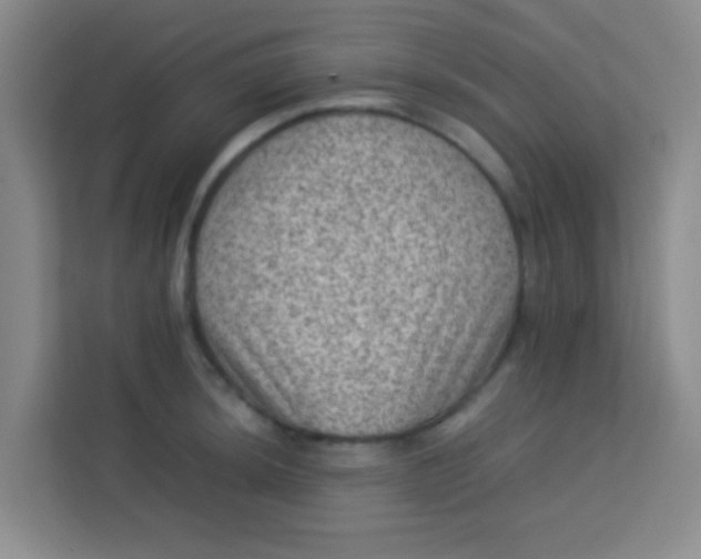 X0000113641044200910091533