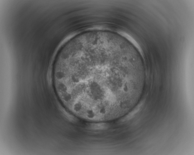 X0000113641045200910091533