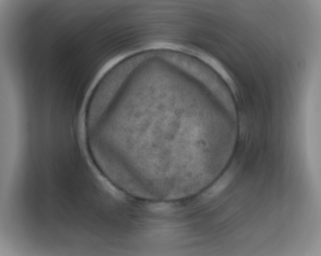 X0000113641048200910091533