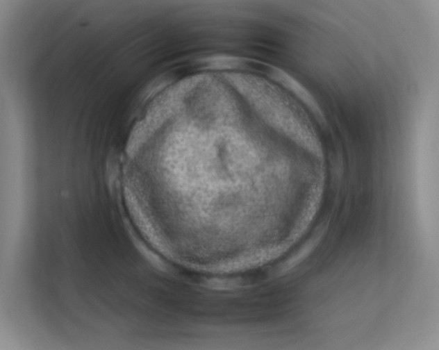 X0000113641049200910091533