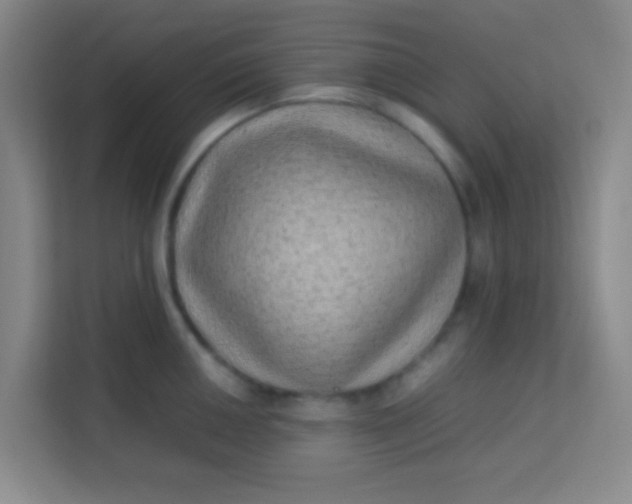 X0000113641050200910091533