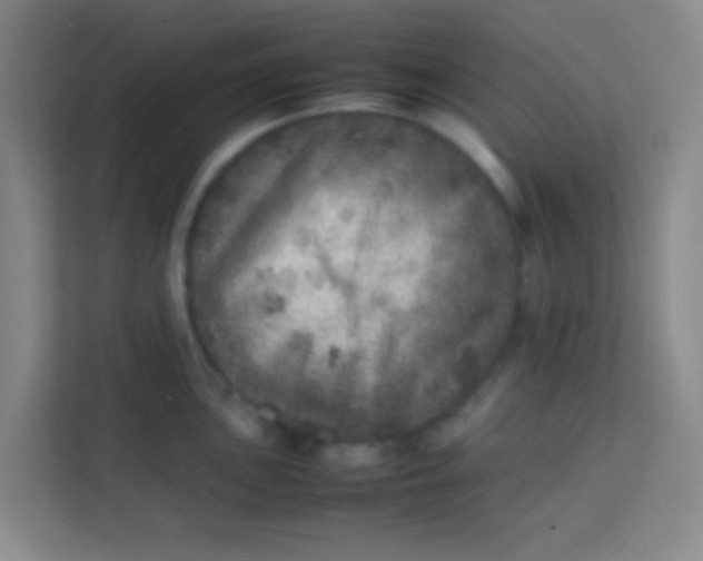 X0000113641051200910091533