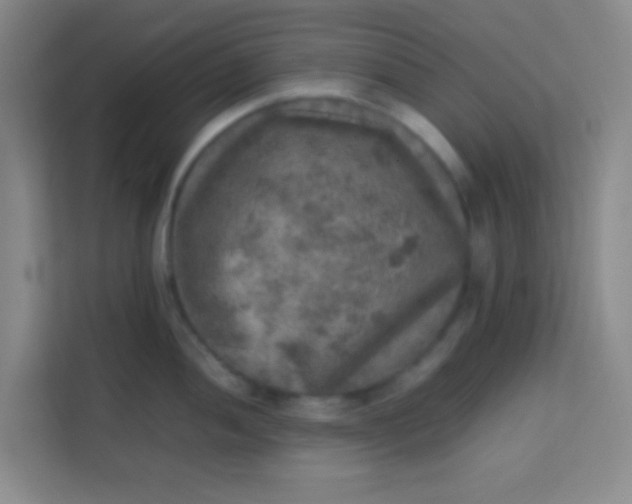 X0000113641052200910091533