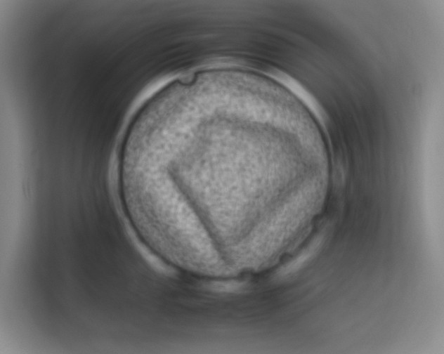 X0000113641053200910091533