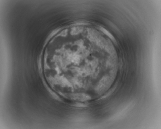 X0000113641055200910091533