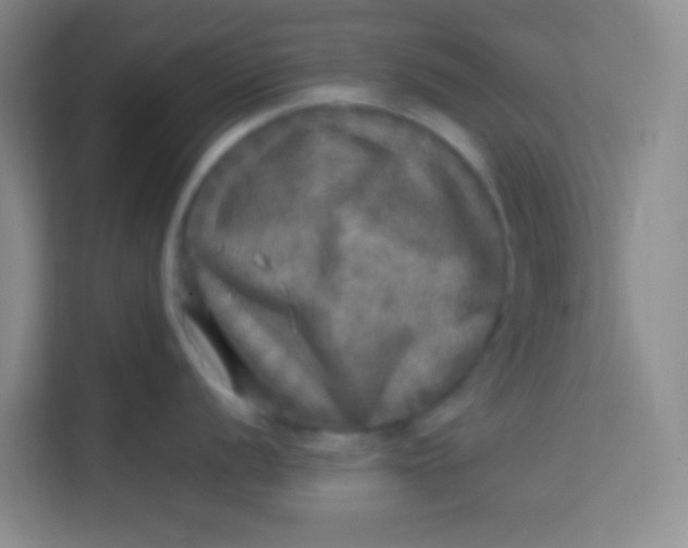 X0000113641056200910091533