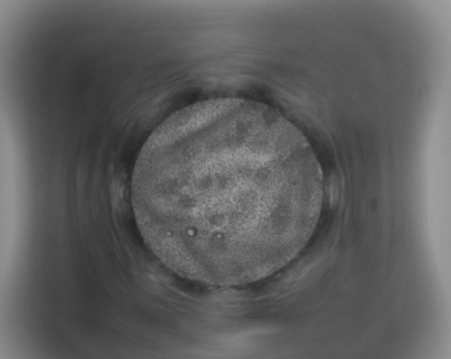 X0000113641059200910091532