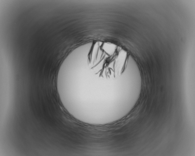 X0000113641060200910091532