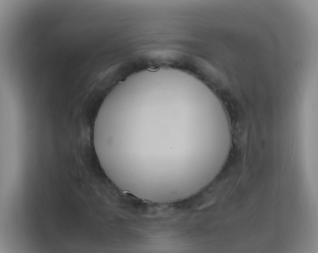 X0000113641061200910091532