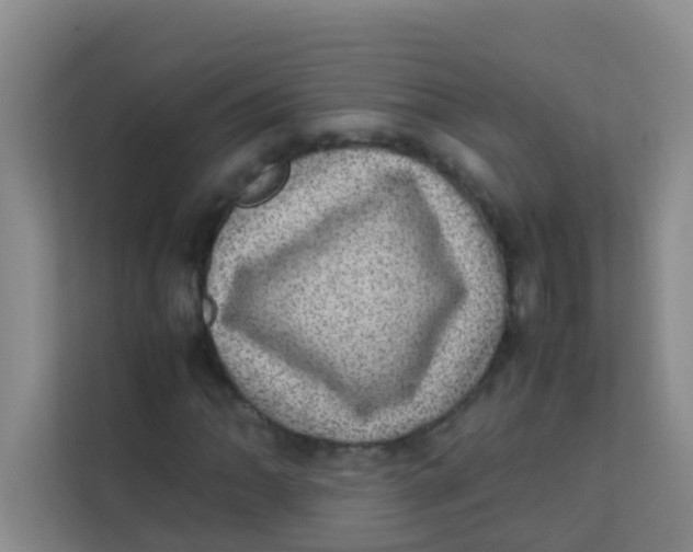 X0000113641062200910091532