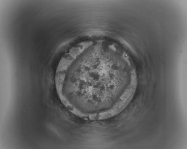 X0000113641063200910091532