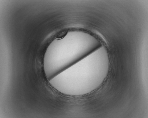 X0000113641064200910091532