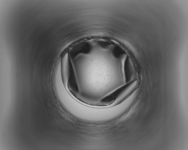 X0000113641065200910091532