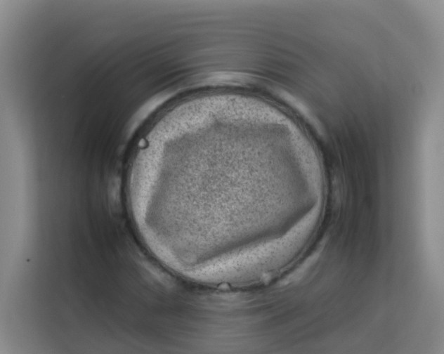 X0000113641066200910091532