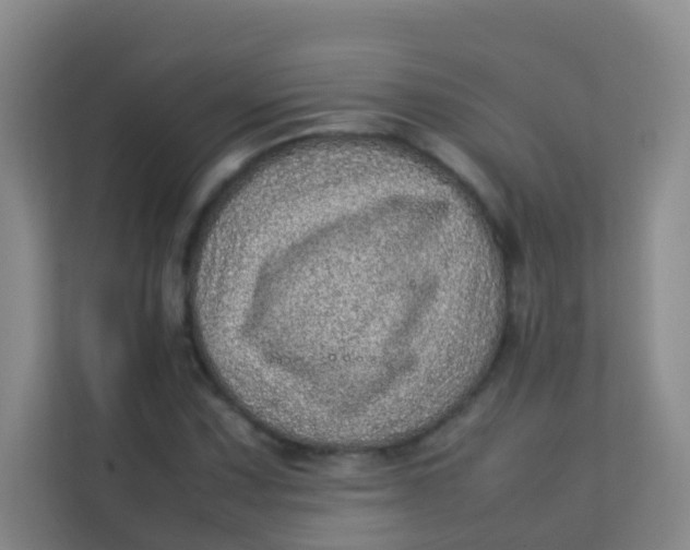 X0000113641067200910091532