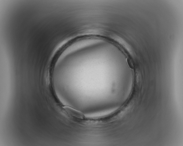 X0000113641069200910091532