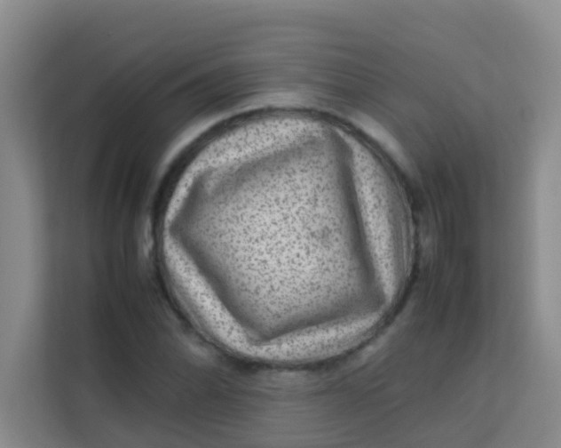 X0000113641070200910091532