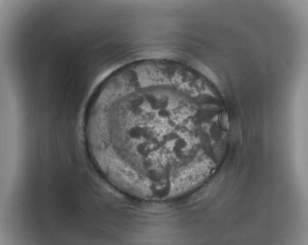 X0000113641071200910091532