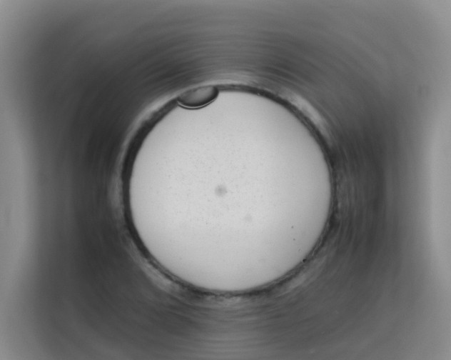 X0000113641072200910091532