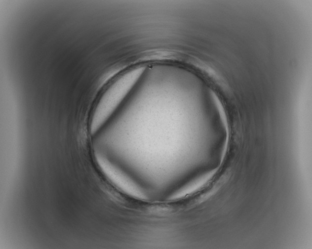 X0000113641073200910091532