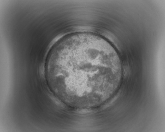 X0000113641074200910091532