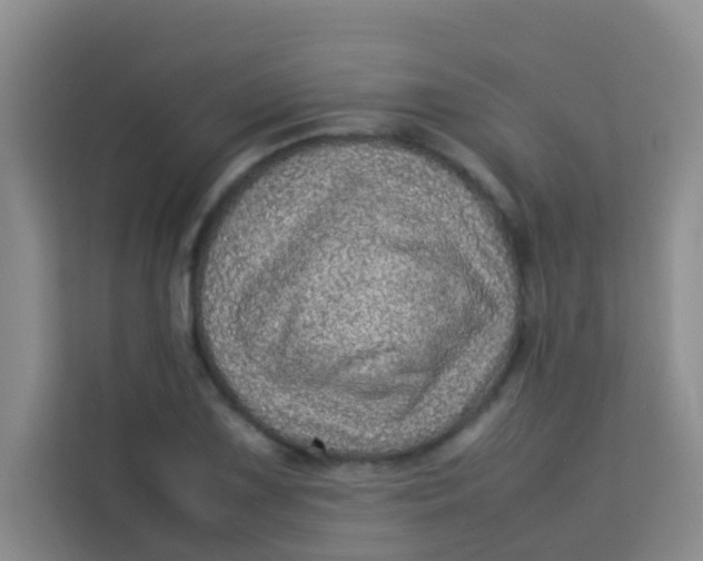 X0000113641075200910091532