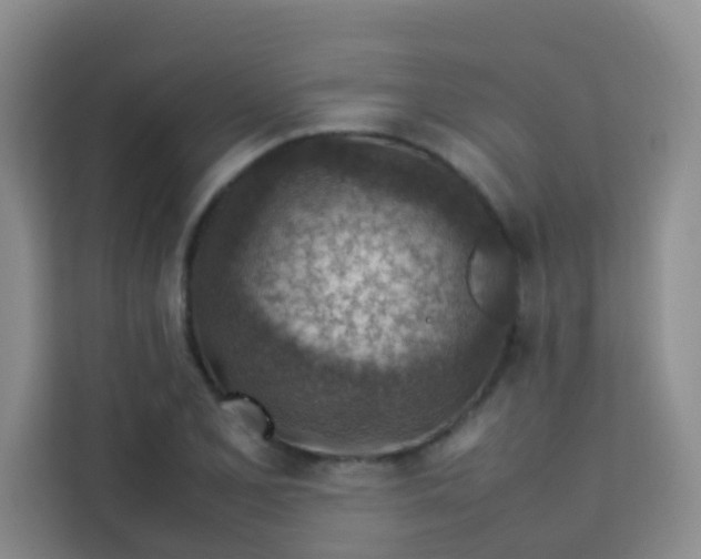 X0000113641077200910091532