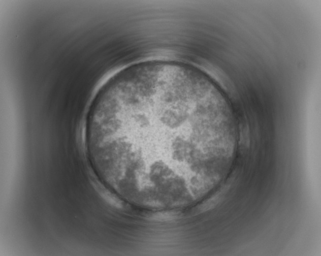 X0000113641078200910091532