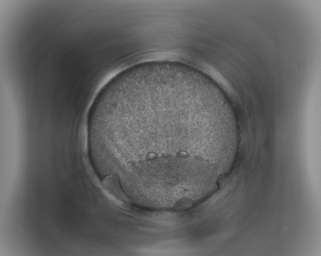 X0000113641079200910091532