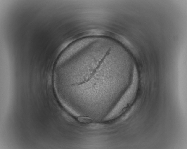 X0000113641081200910091532